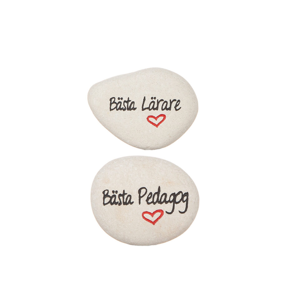 Sten "Bästa Lärare/Pedagog"