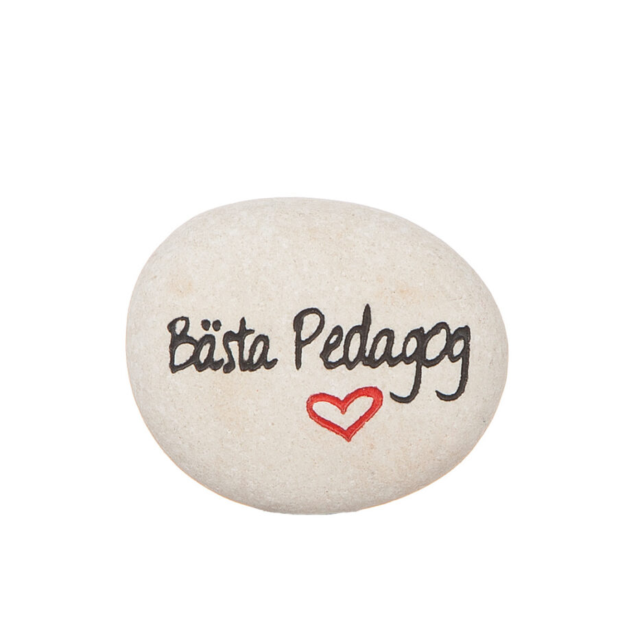 Sten "Bästa Lärare/Pedagog"