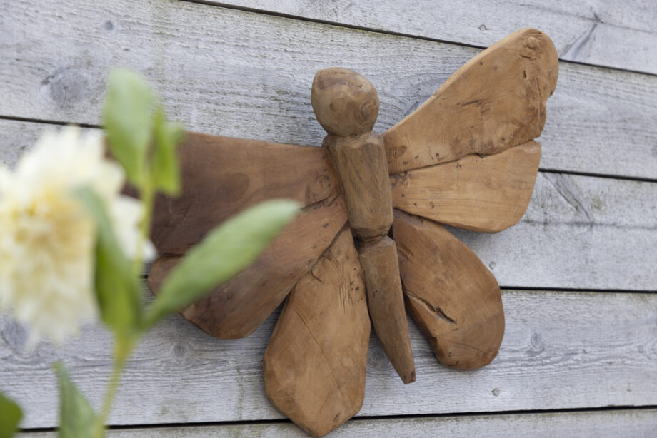 Fjäril vägg i teak