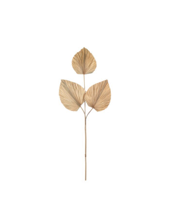 Torkade blad