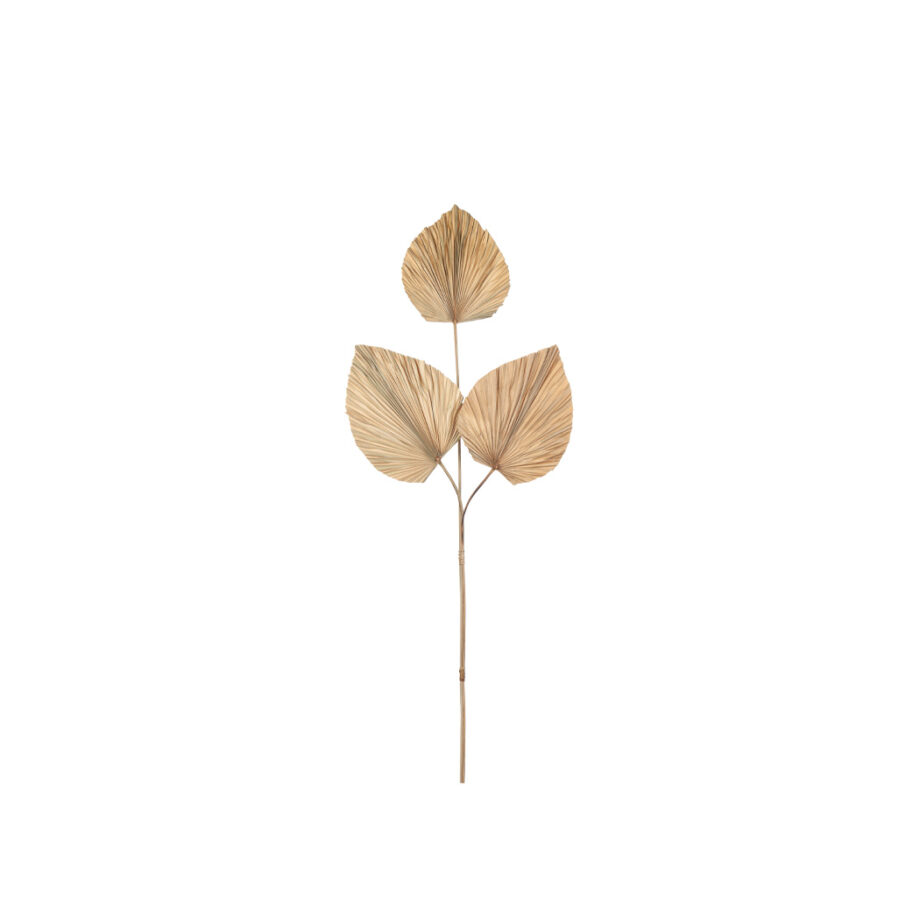Torkade blad
