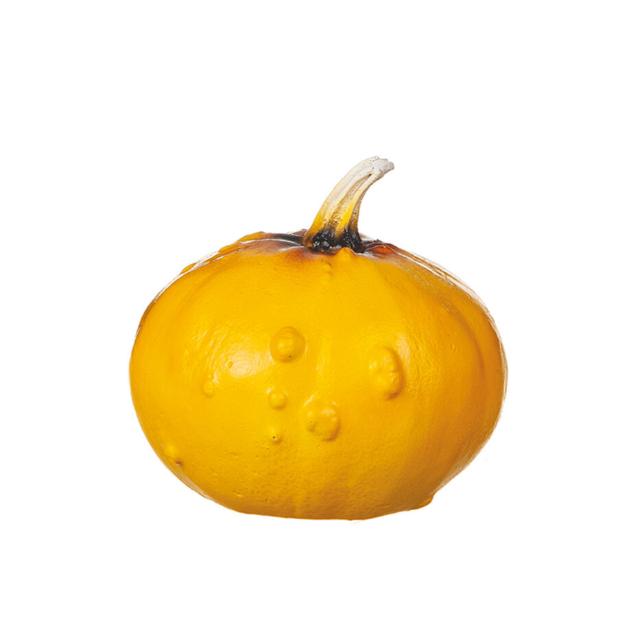 Pumpa i poly