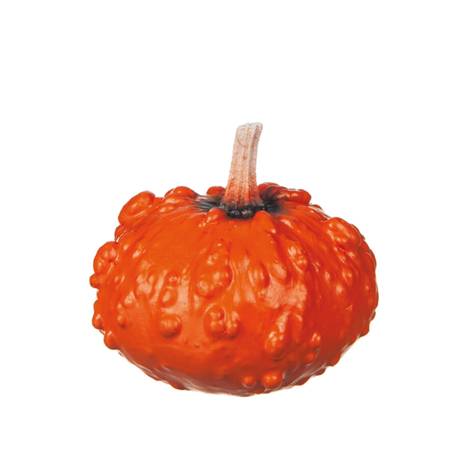 Pumpa i poly