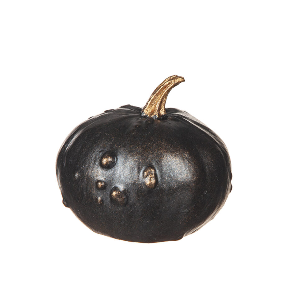 Pumpa i poly