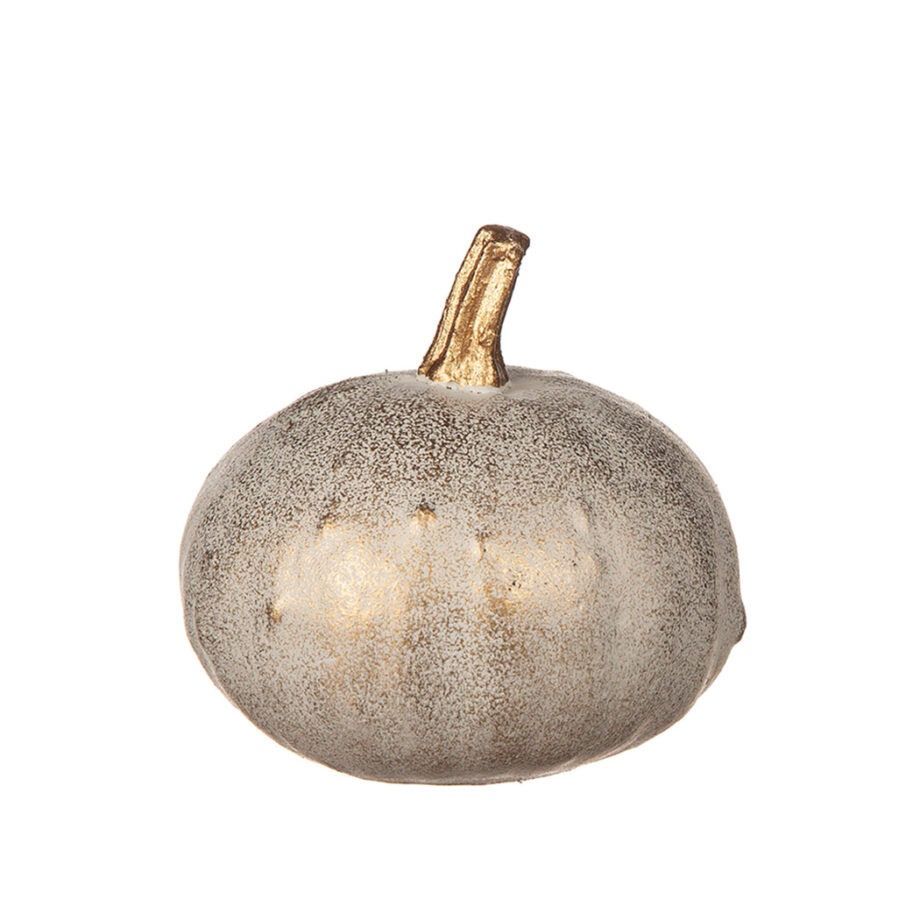 Pumpa i poly