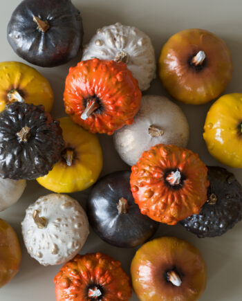Pumpa i poly