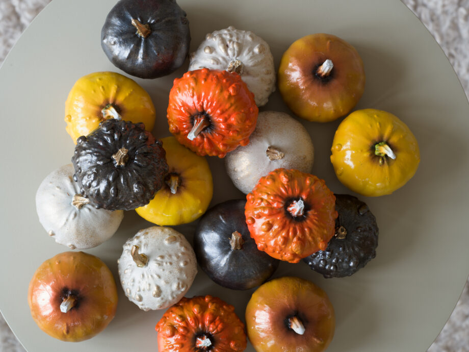 Pumpa i poly
