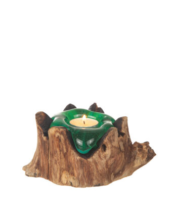 Glaslykta på trädrot