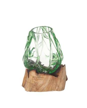 Glasskål på trädrot