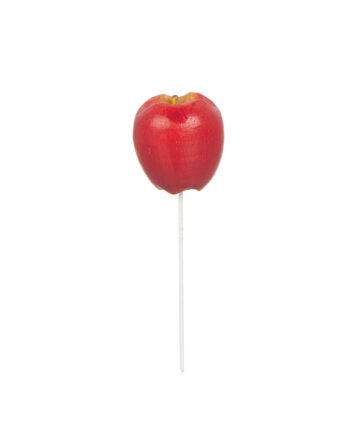 Äpple i trä på stick
