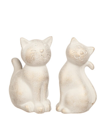 Katt i poly